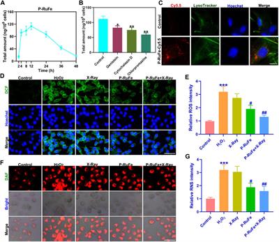 Enhancing anti-neuroinflammation effect of X-ray-triggered RuFe-based metal-organic framework with dual enzyme-like activities